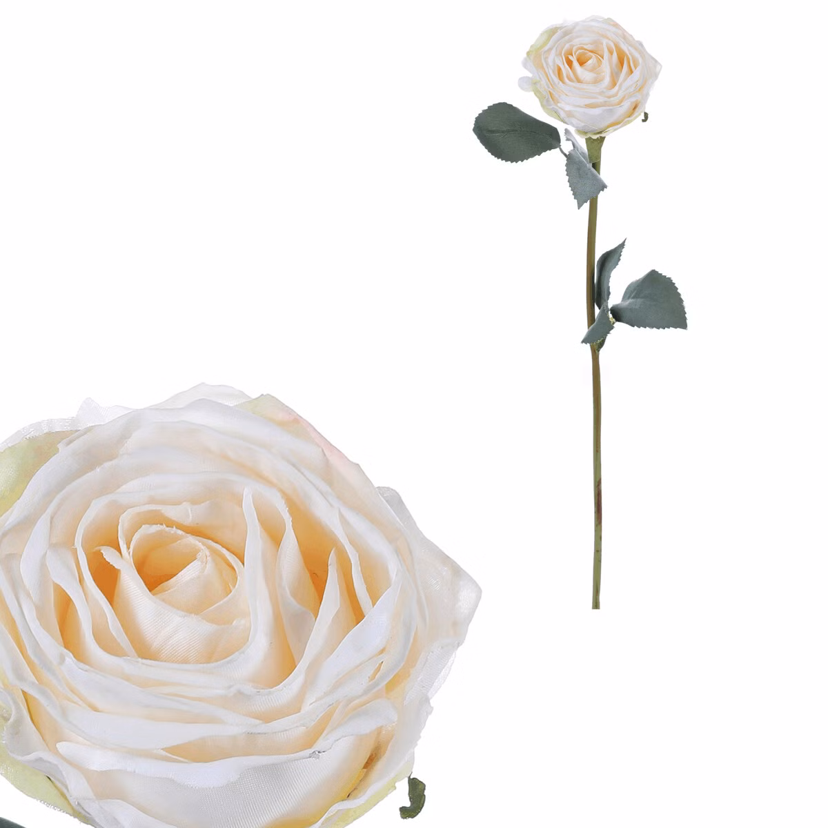 72eb810d010786785dd67d338e71e6a6