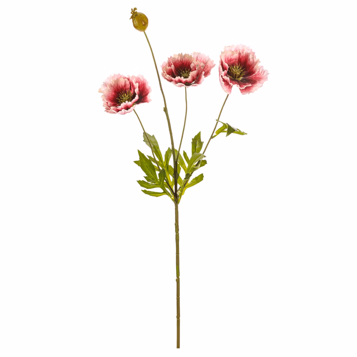 73508180bc78c430f859ae49f430119b