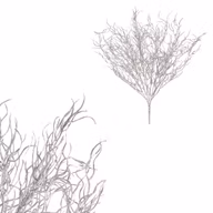 748aa13237d9462035d57f1b8a173853