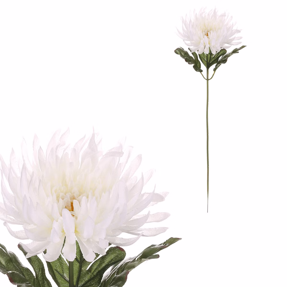 767ad358a9ee1798474f439b5ce55bfd