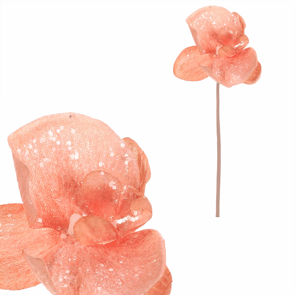 76cace3eba7110ade0dfb44d2cb135d6