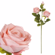 77ffaaa07c2cea966b378825fe86ce5a