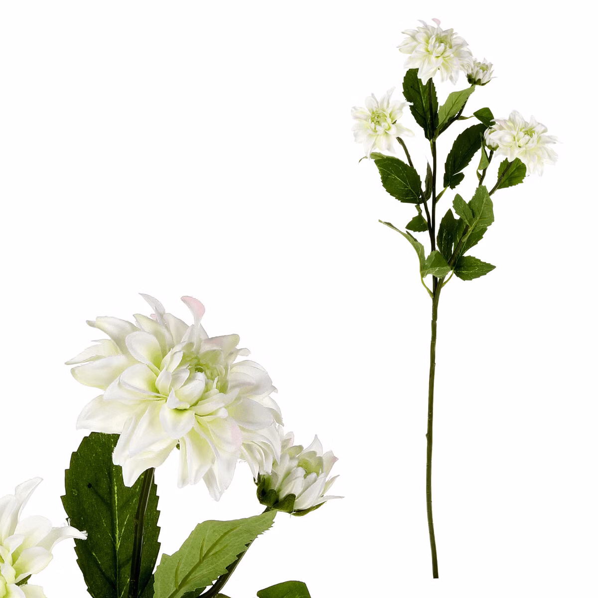 787e0a947b2faad71b0cced09809bd8e