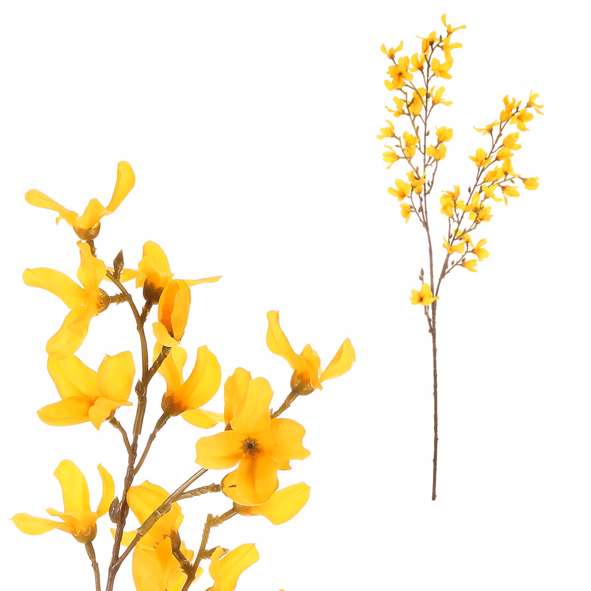 7a9b3e32fcf5baa13093682a88866341