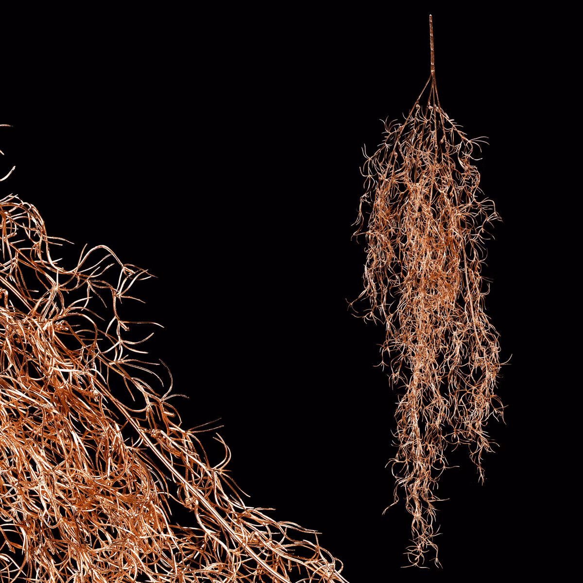 7b01751b4dcfb7abae4f7284b50bc5d4