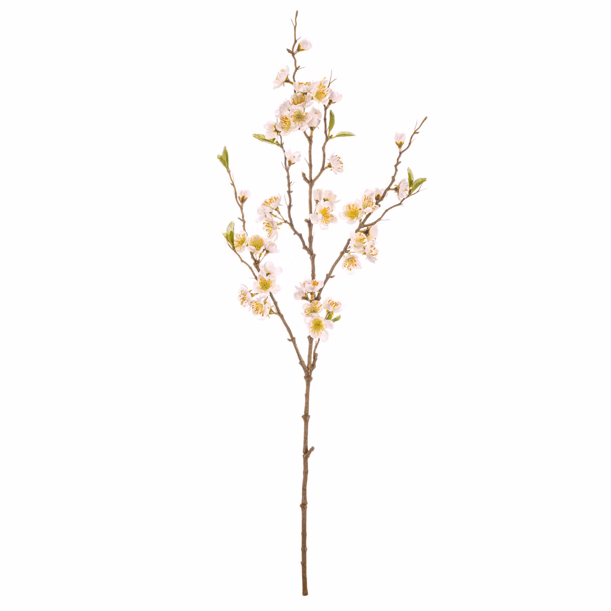 7b37926bb61faa3b2cb1d873e0eb385d