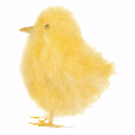 7e4c71946b09c51d875d47312f23d0dc
