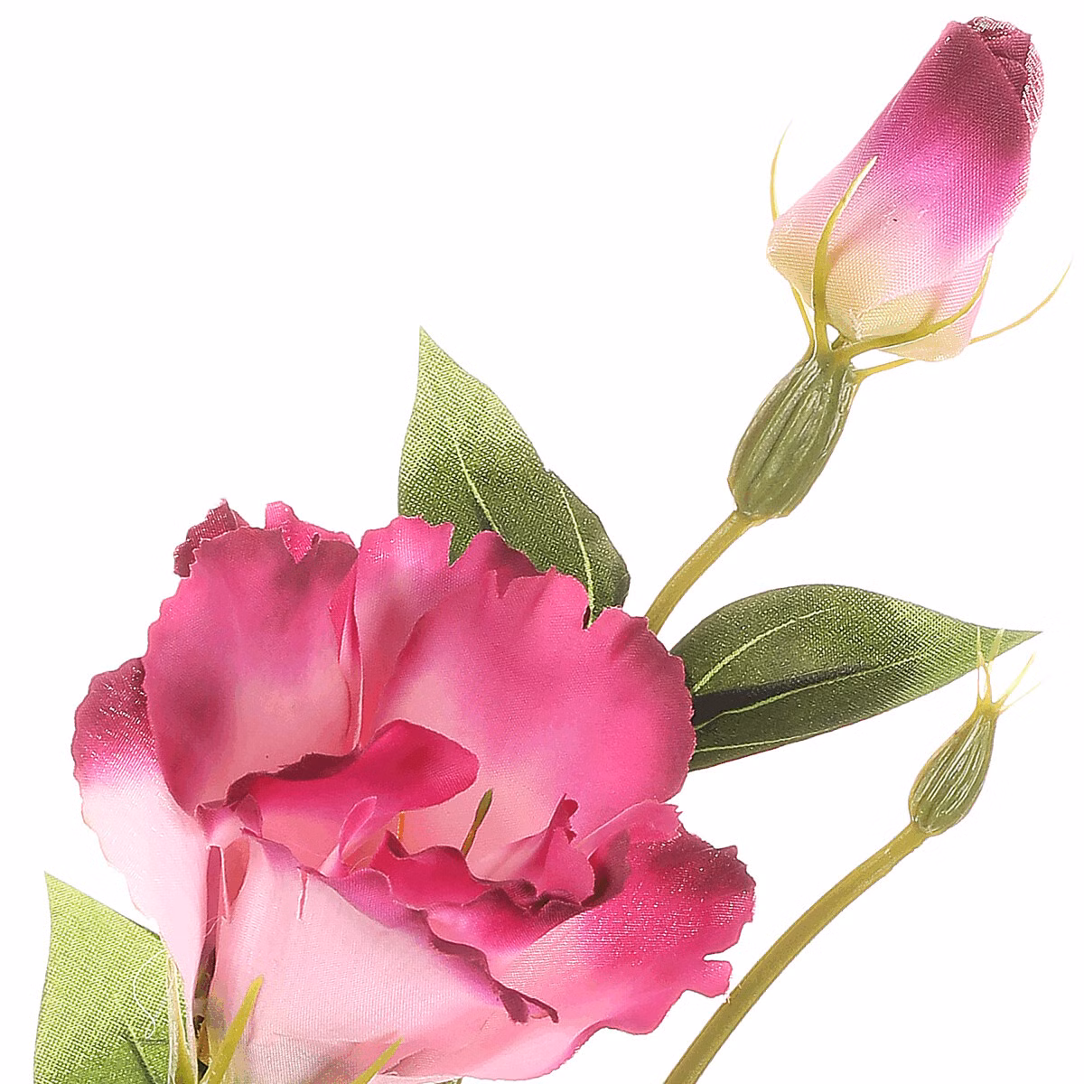 7f3401340303b5bcfa65a74ecda854b1