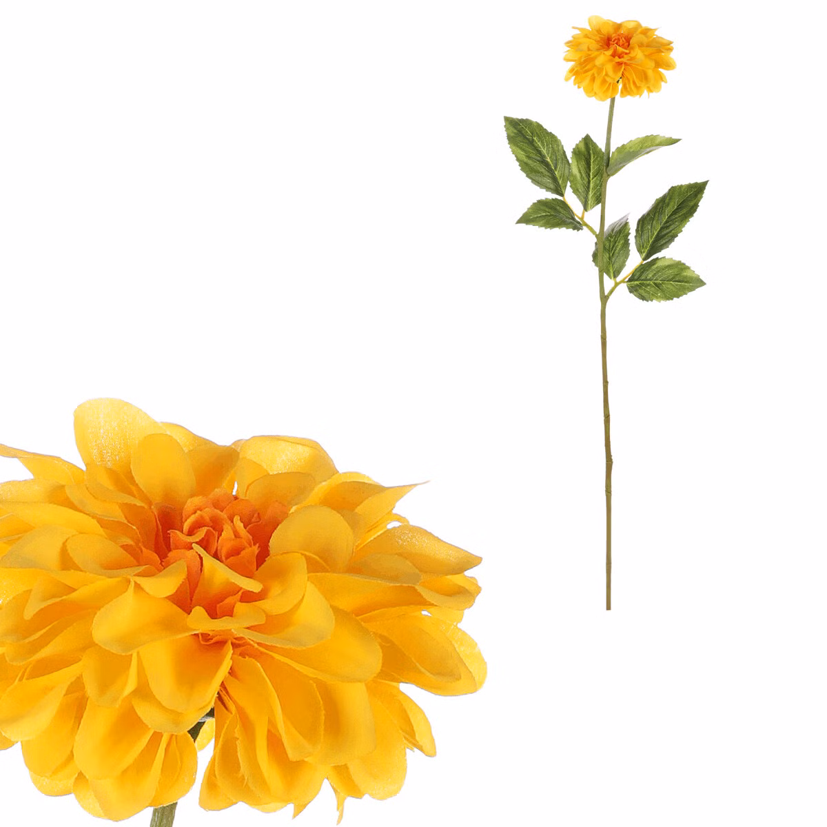 7fb21062f26dcb0d1af1fe1a33c80abd