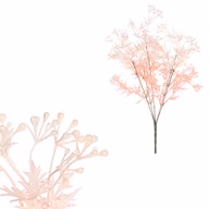 806a25088020822fb1b4ca477b8b6ec6