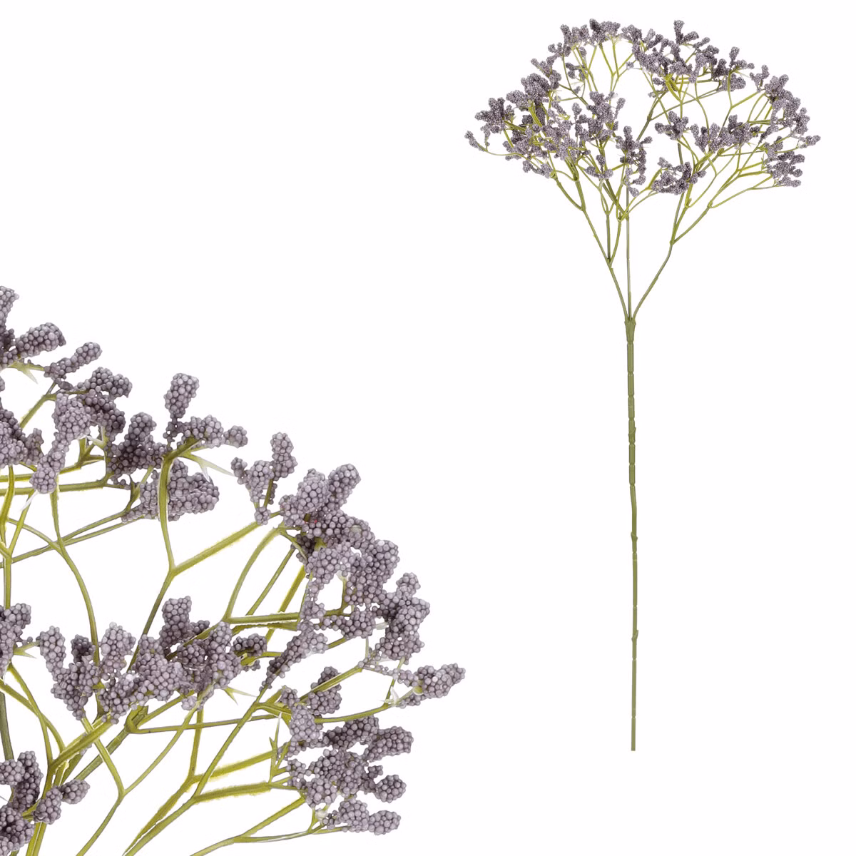 81e52c766ea9407233825c0b7523ee6b