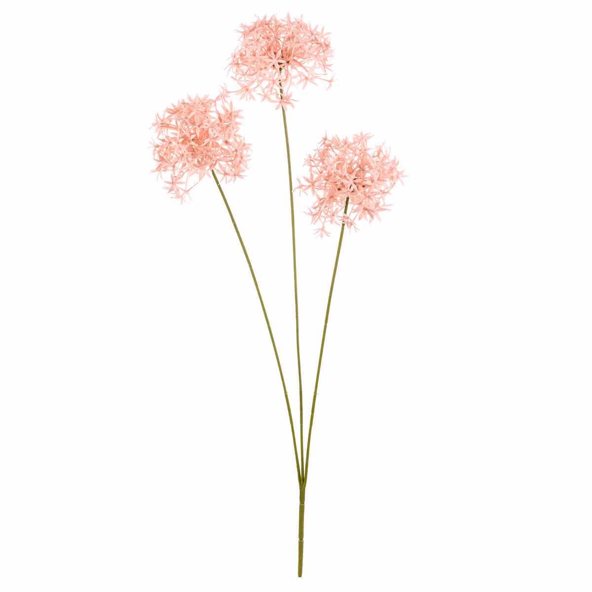 81fc6c865f53a2019233ce030636d1fa