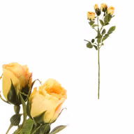 8201194000be2c6b141270bbd6fb6613