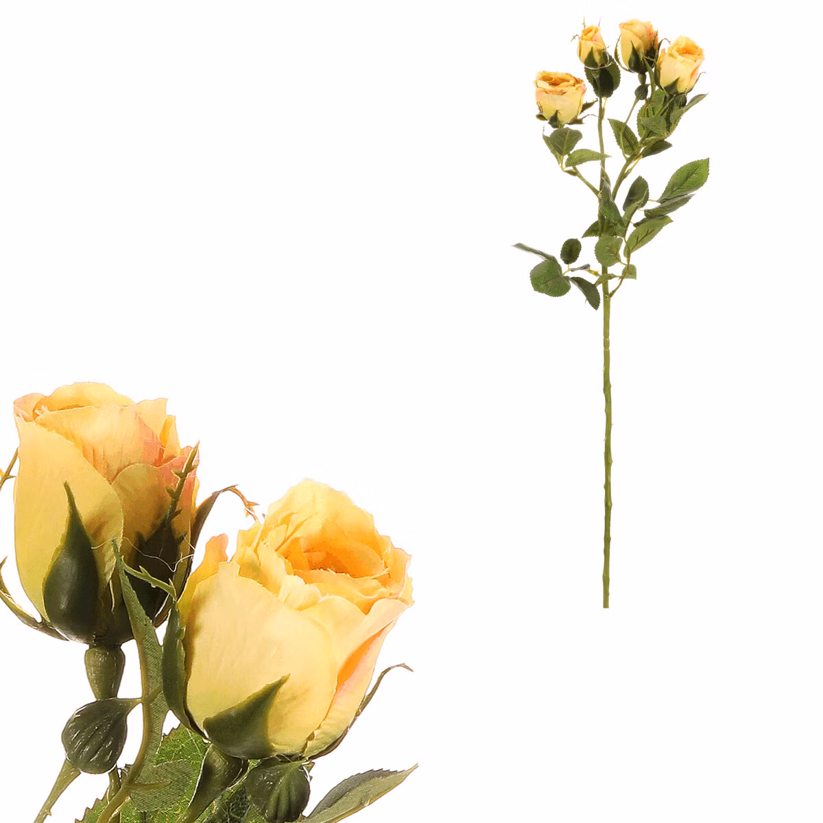 8201194000be2c6b141270bbd6fb6613