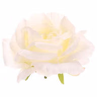 822174ea52bf6c174ac08d0bc2ec8ef1