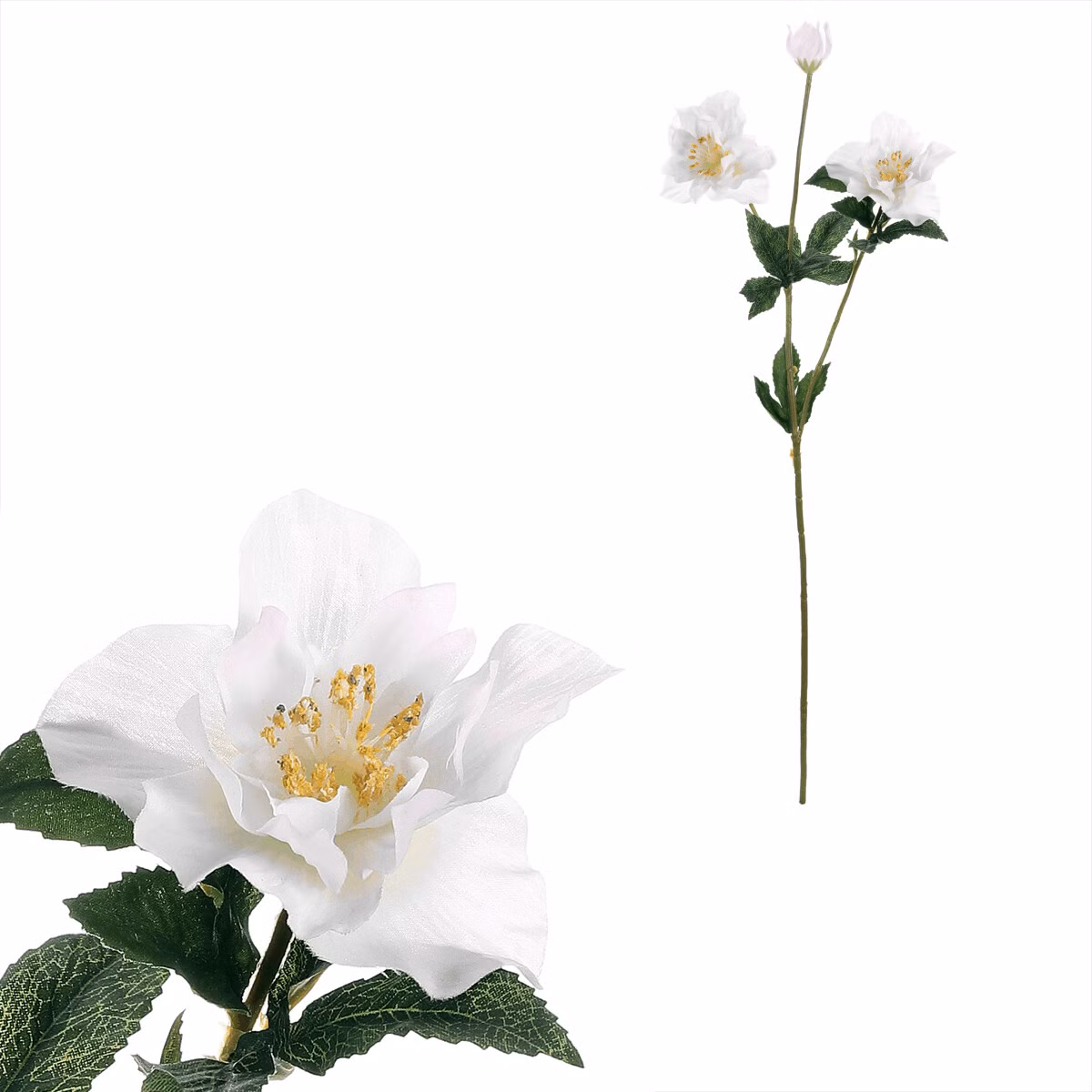 822f1298b7c12463aecdee8b881830a3