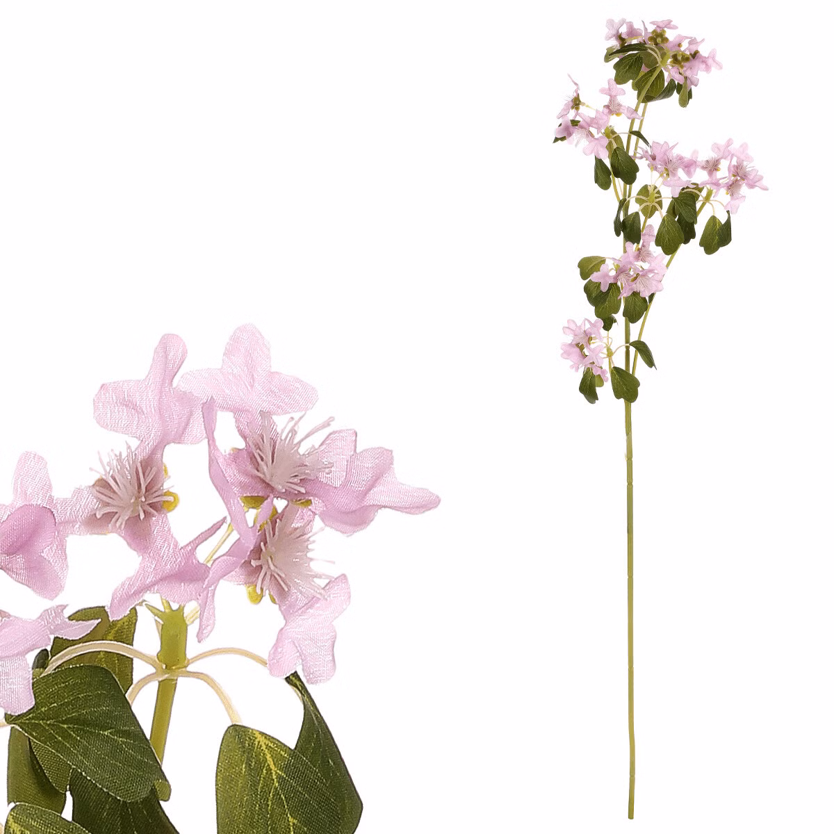 8296481d8847a25cfb126f830d1a7fa7