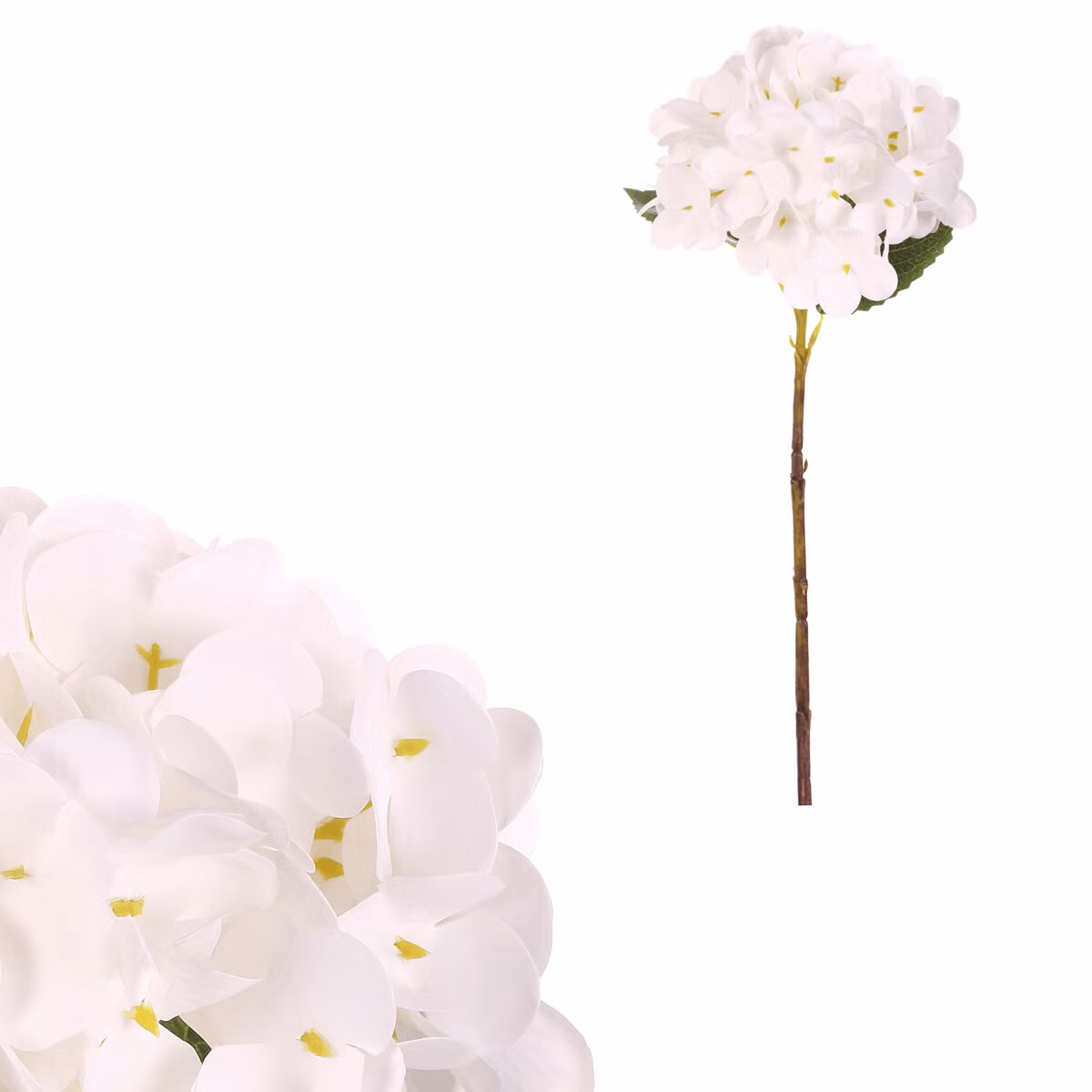 834ce7bc503c03a180f48b3b0de4cf8b