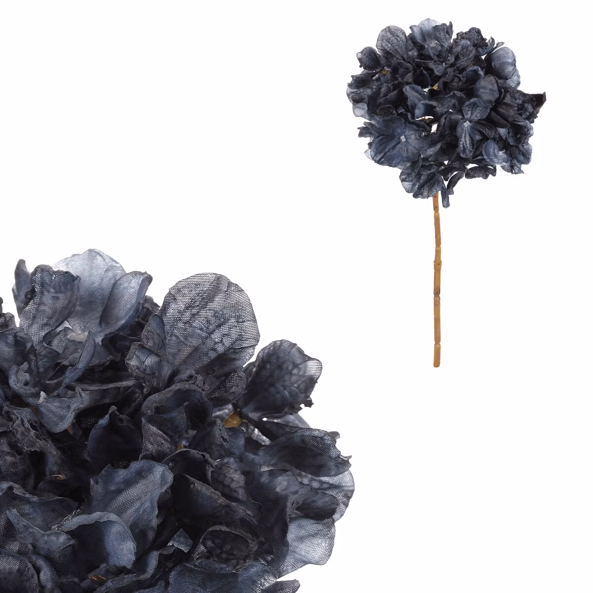 83b0e9a4eeed0302e2962d09dd49c2c3