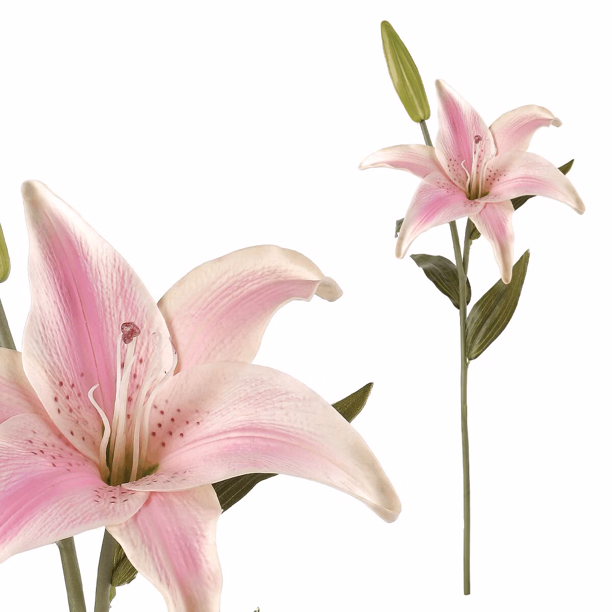 84491e9421af86d669cdd82f592a7949