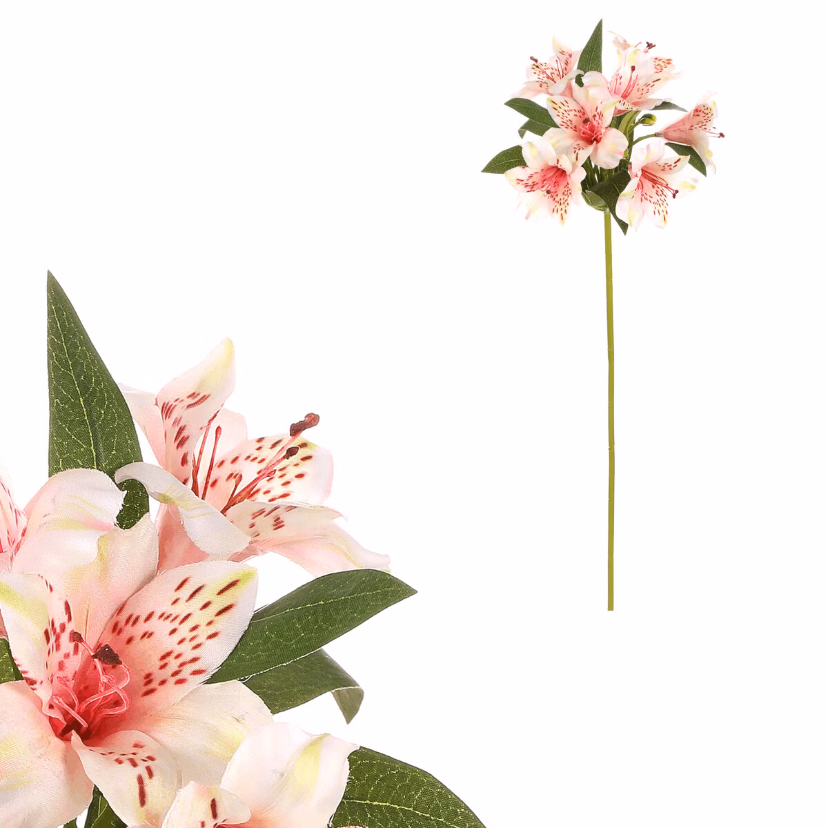 84923494d829791a2fa8facb416489a6