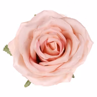 85fa3b3871dc2d9697bb86ade5719d12