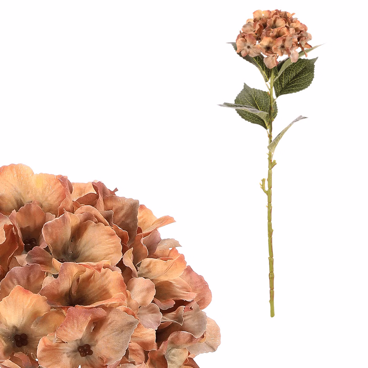 86ec7389b36bb43c626e509b7f761d7e