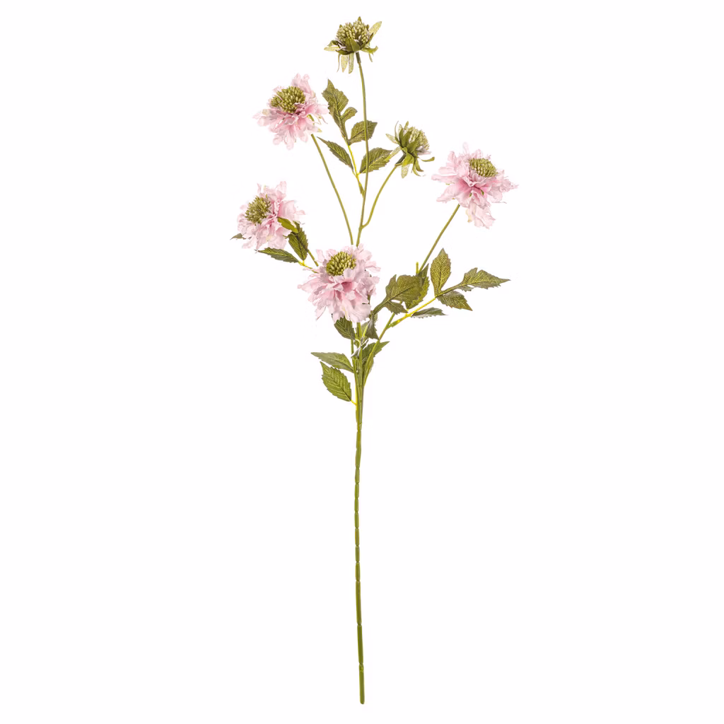 8a531a0ff02f00faa921d01d475feb4a