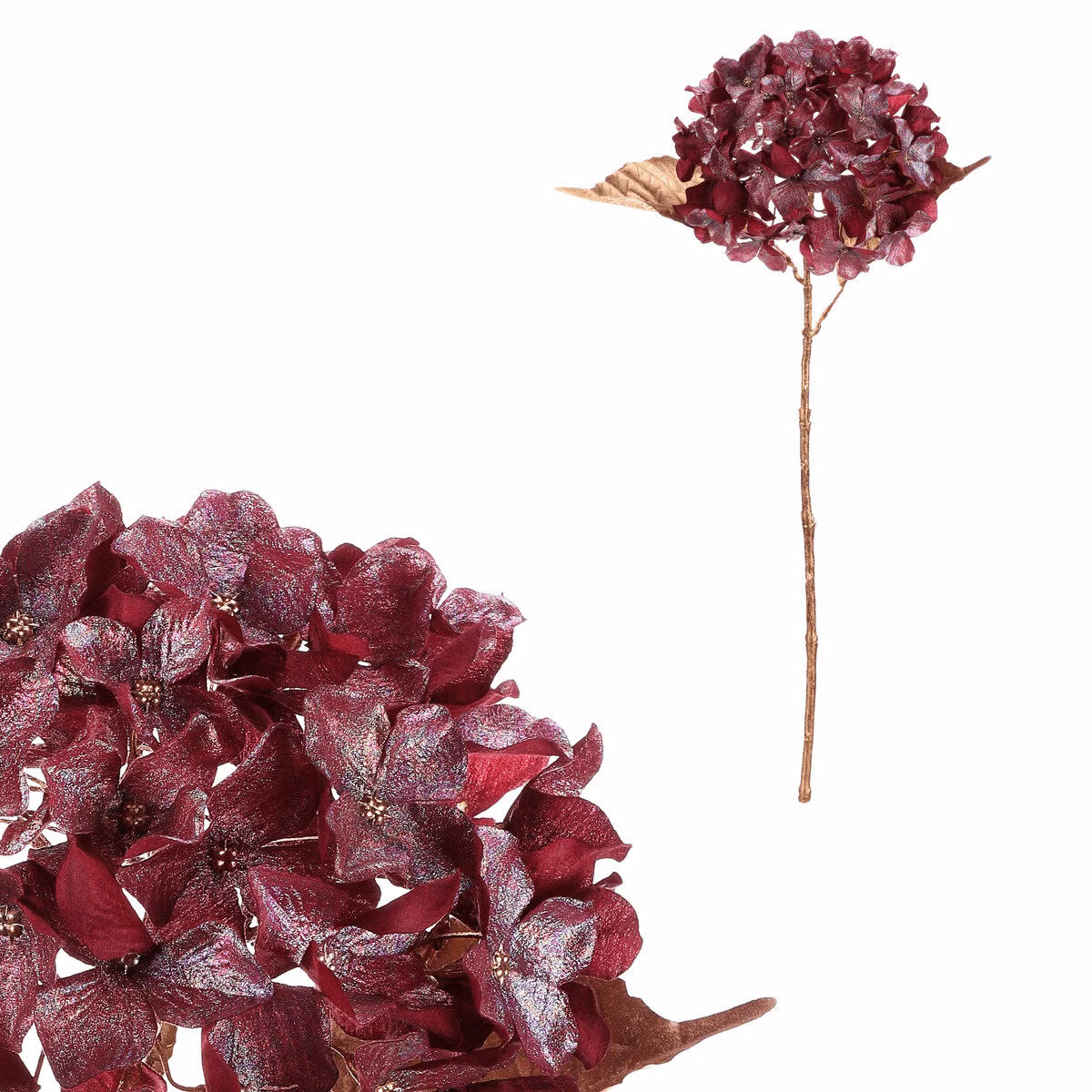 8a6fce170979b0ba122559875d44a6bc