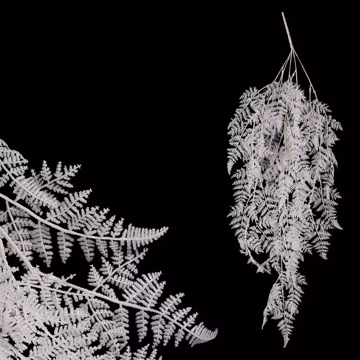 8ee537b219d5c8f12a6009b53fa818d5