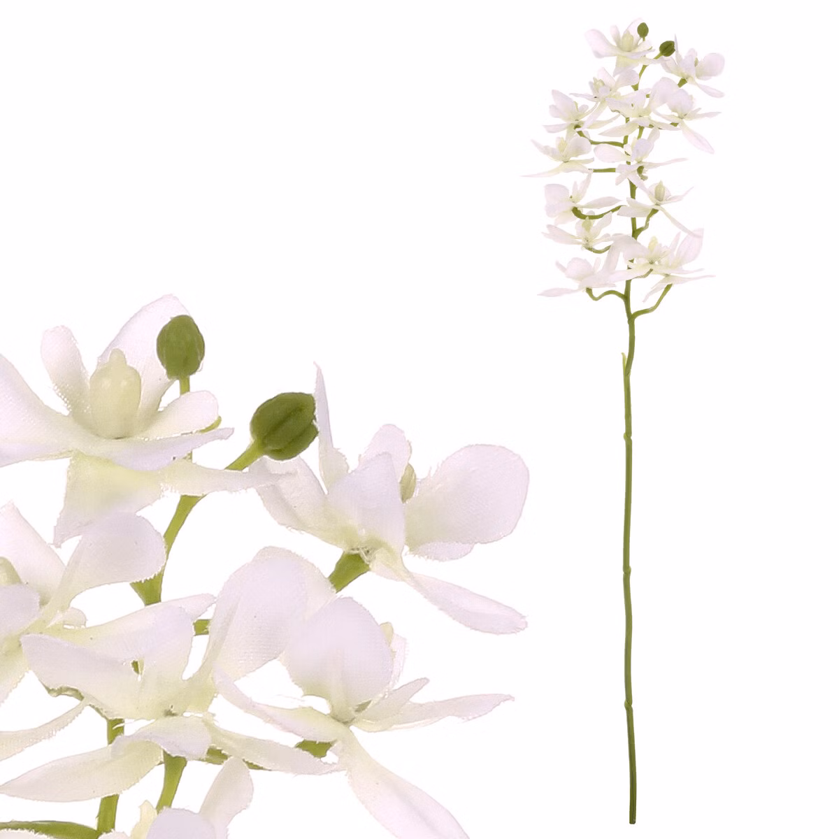 8f0c8901b6ee407c6c01a57a7e0a4374