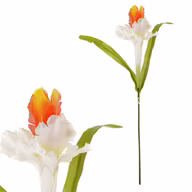 8f7a72de55dcce52db9733a7efcce4df