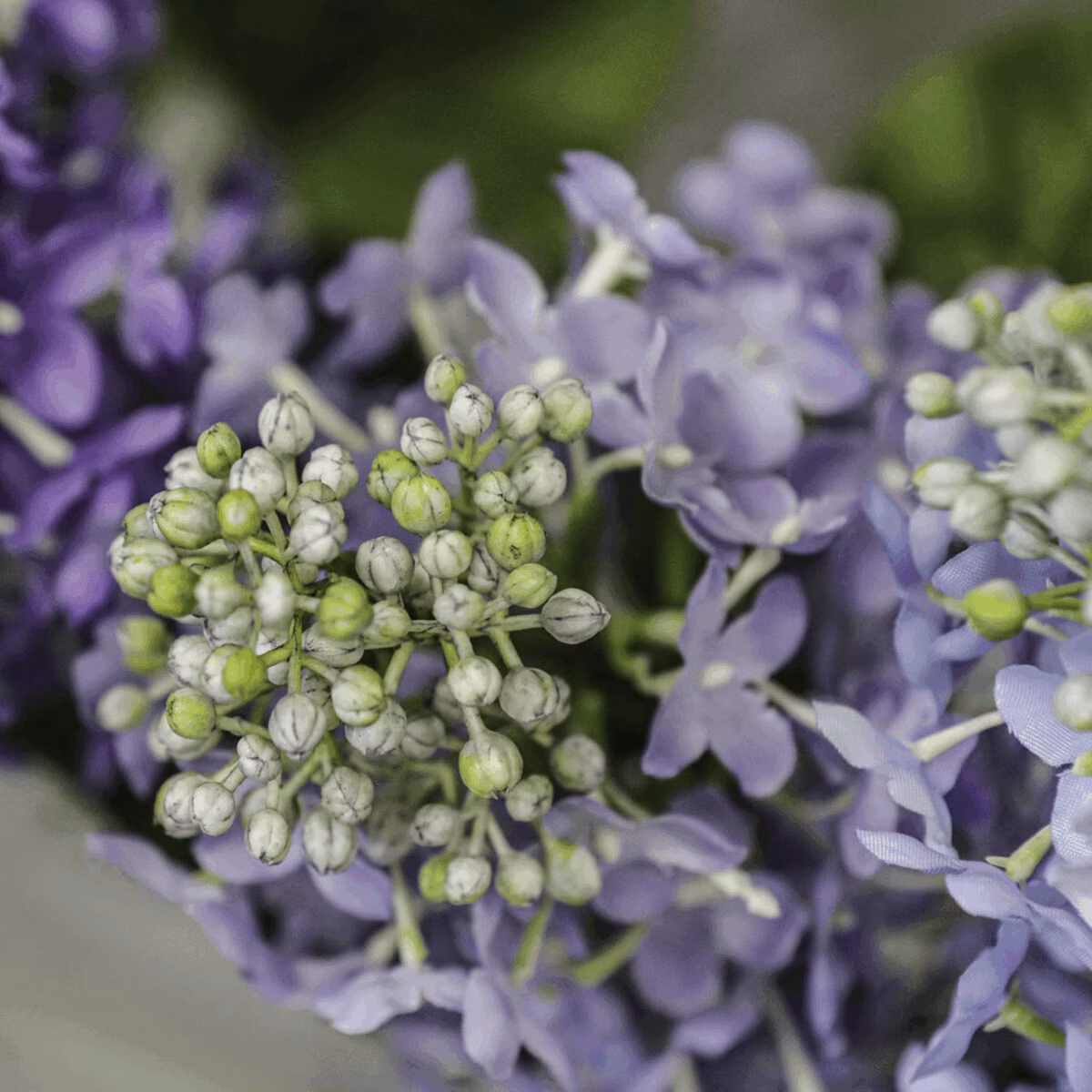 94874893b5e2aed43a15f8f4b36a9df7