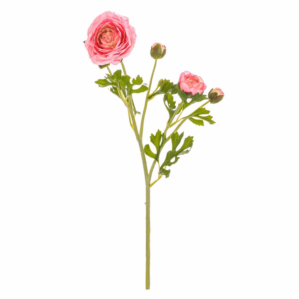 953beb5358480c7a97d290e9cb6fc263