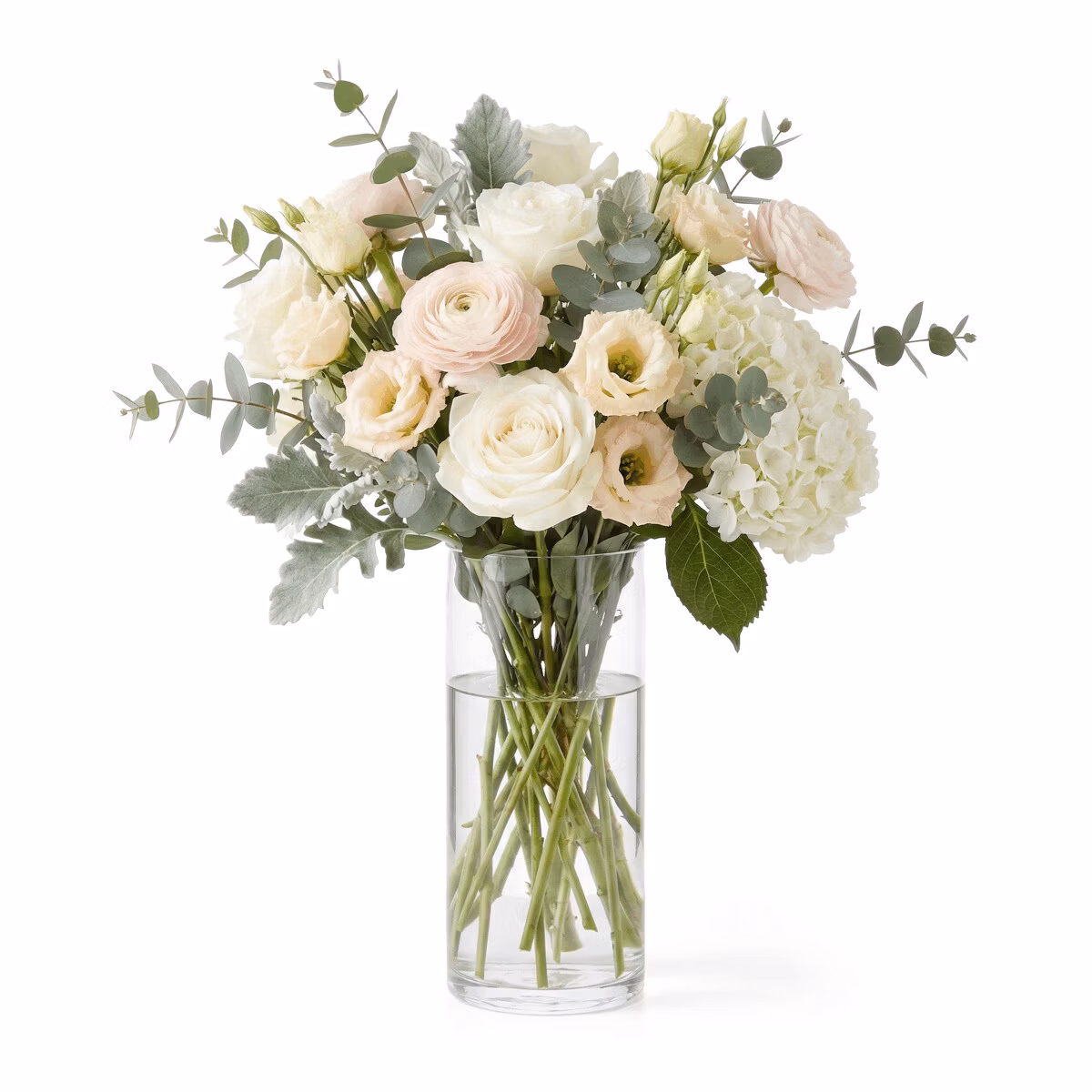 956149006919b484708ba2ab475e5065