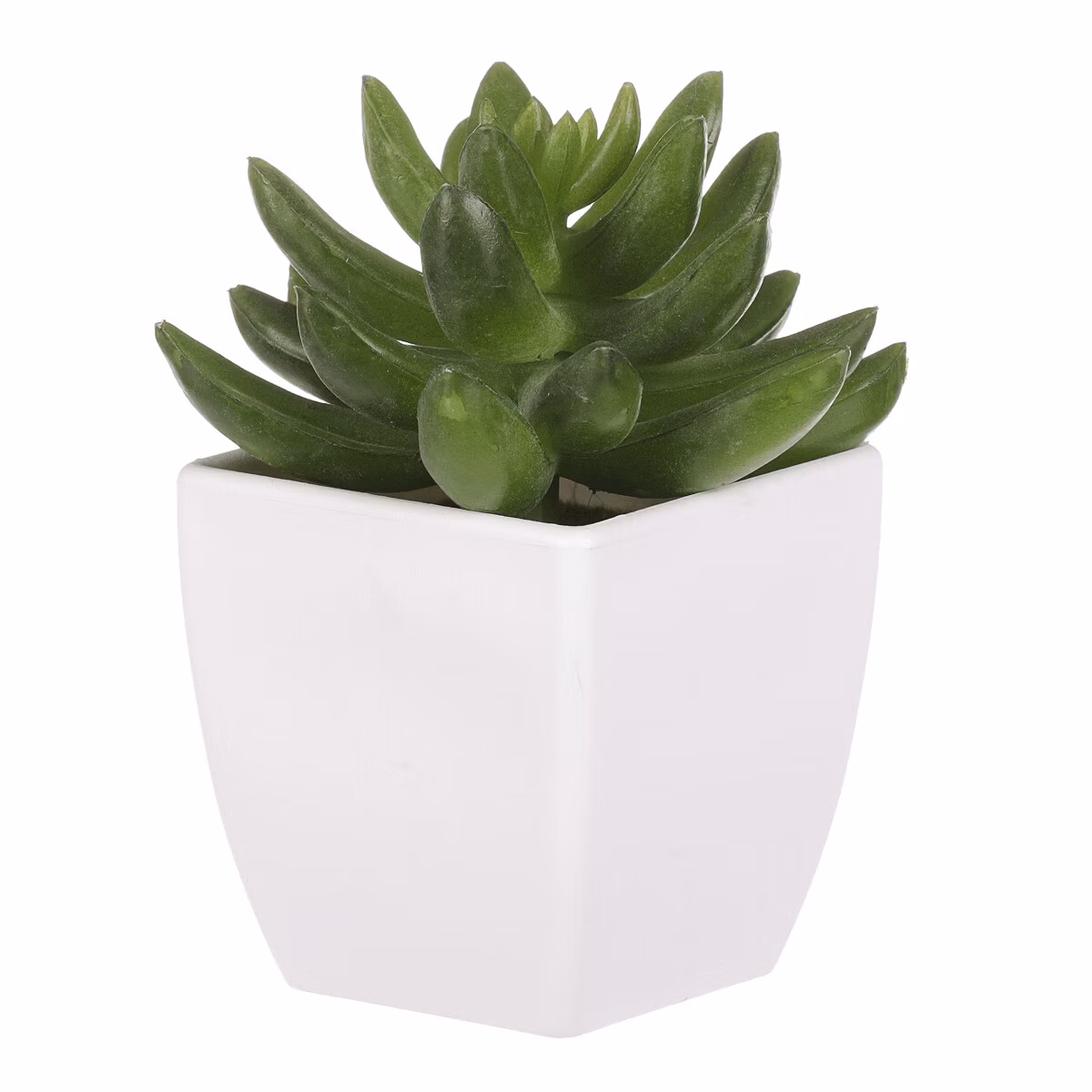 9616fc2ba2b60209778c186c87824836