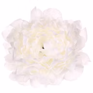 98cfa91b2f46a27d980e2b4b4e88389f