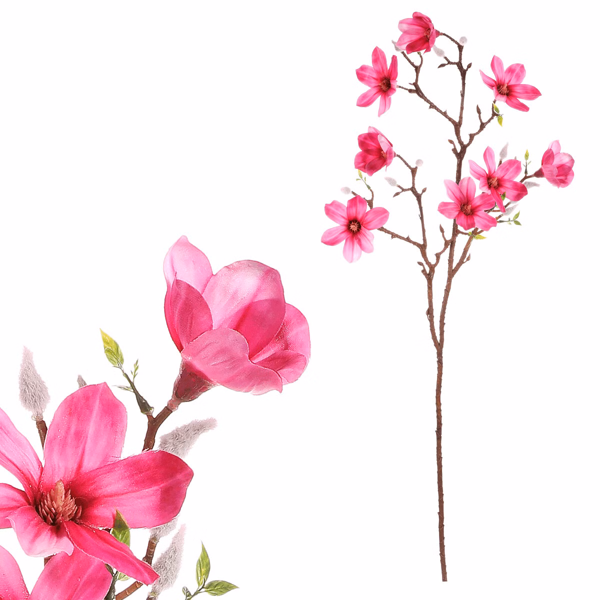 9937056b0a07b6e3fc10f77dee64b8ee