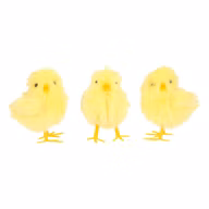 99ac30de7ee1514c1ca05c8a8e1659db