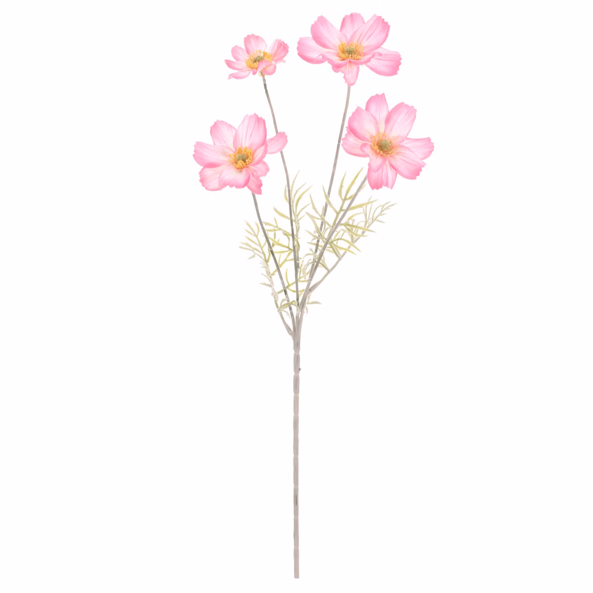 9d1146b652f06a637cd7aefade7fab7e