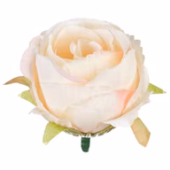 9f42d5cebd59d2982d73d471062834fa