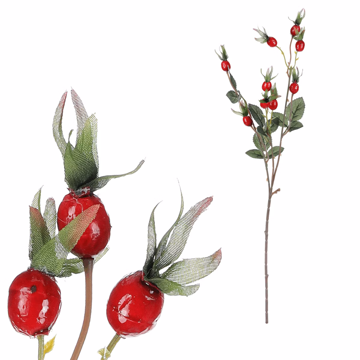 a0571c5b4dc8089e5a51d544a5159c59