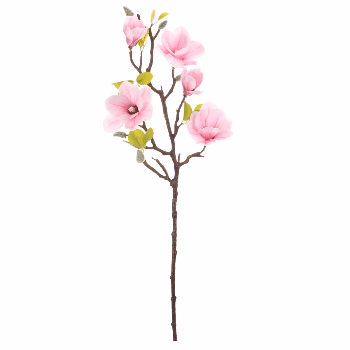 a0673933dbfb0deffb9fc72cb9362825