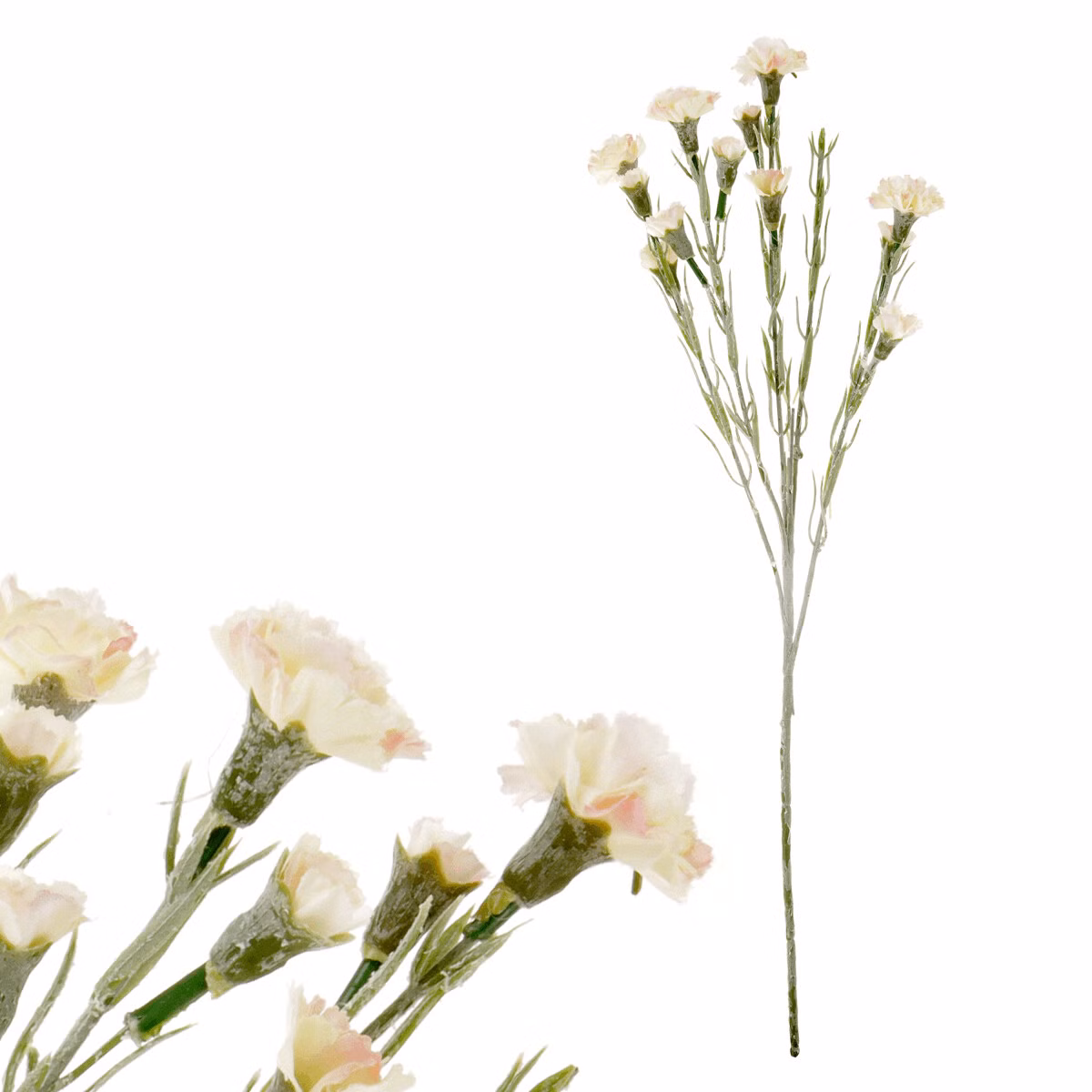 a06d5597e7ecb30b119503a4dd74f0ed