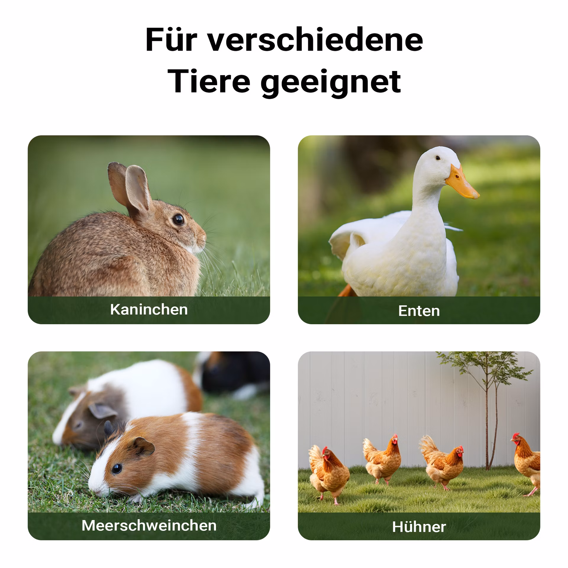 a1e00864f5b6438ad9774c040e3ee97d