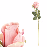 a23ddb0e5bb43d8463e8f1ebd80978d0