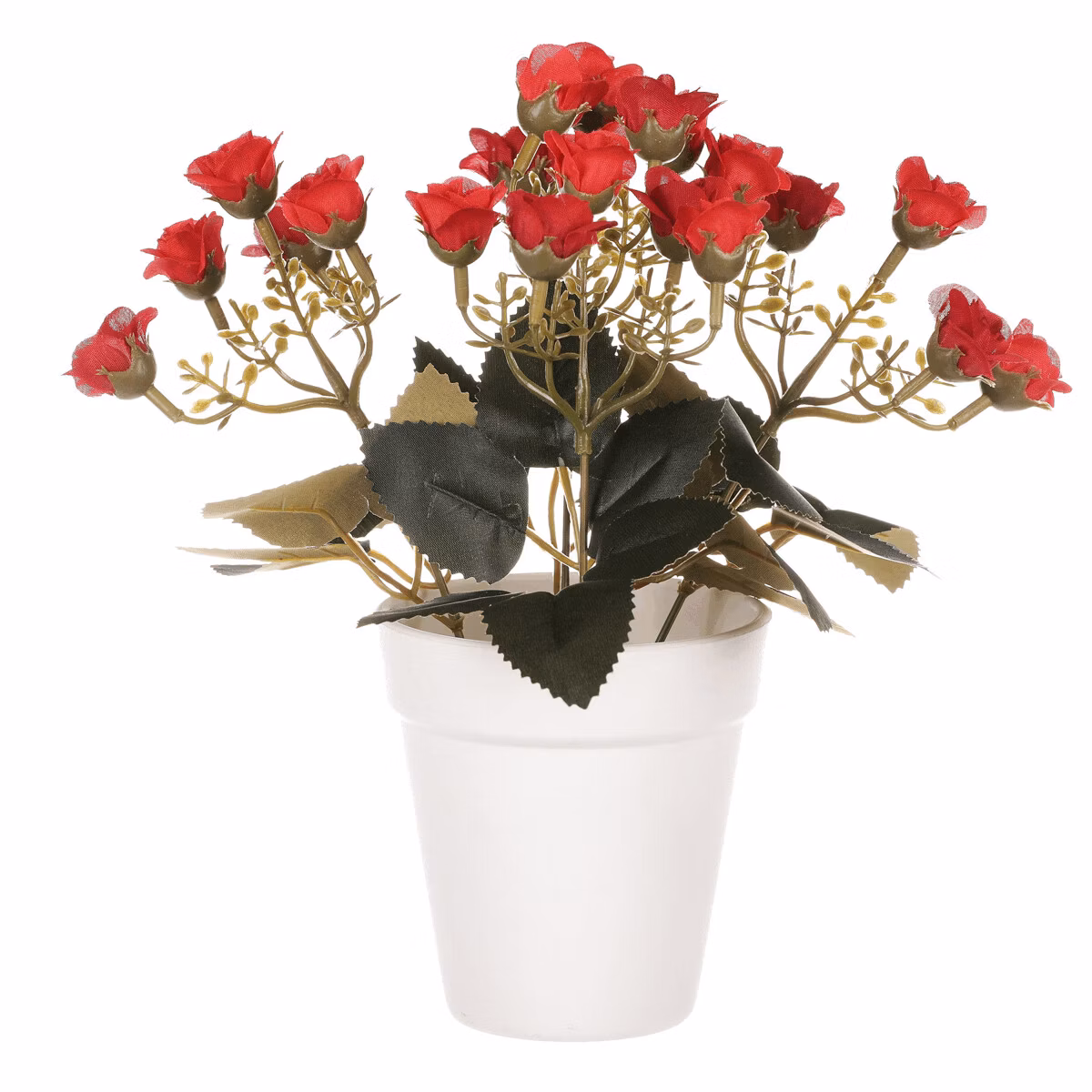 a2fb927917f7166082c6c49a55b3017b