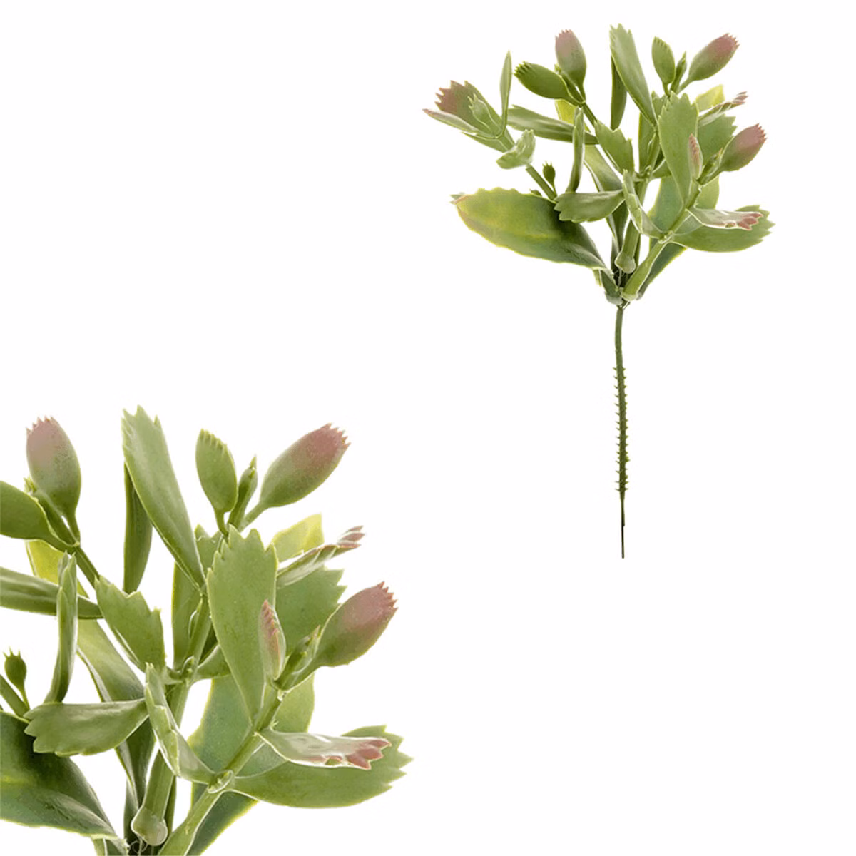 a36c72f446ad98cb50a4393f2f3897e4