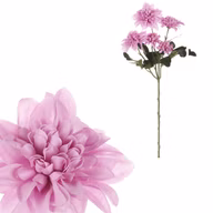 a37d28d648f955e8527167fc0b6618ac