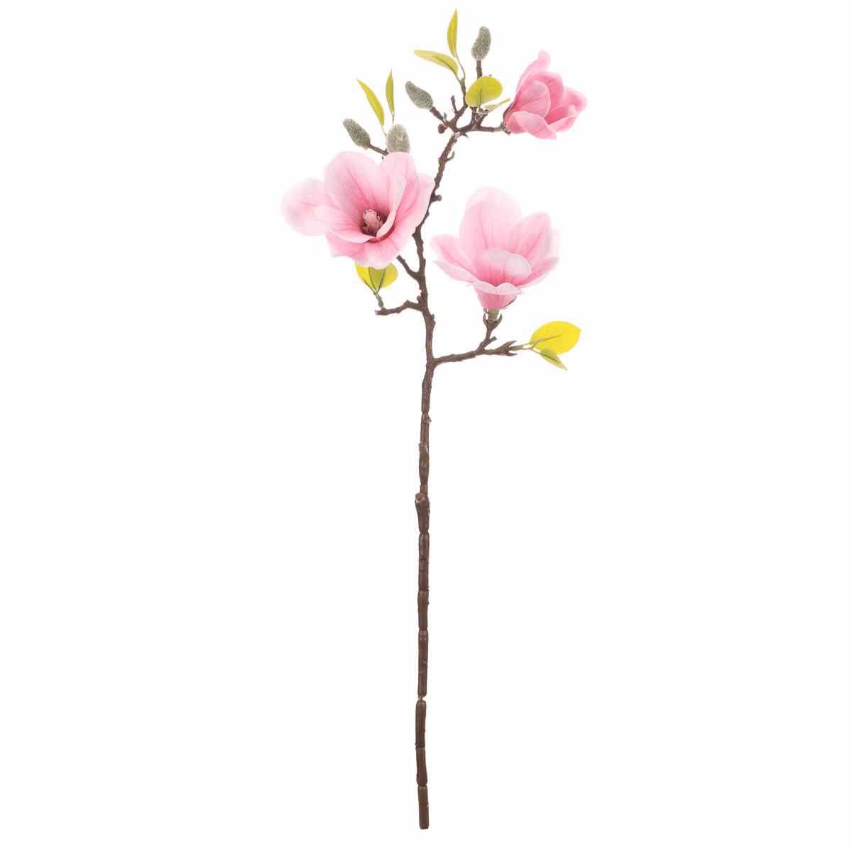 a441fea39da76735dd94ce8cd467c750